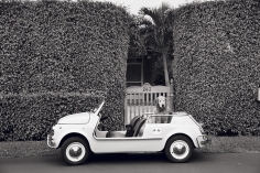 Priscilla Rattazzi, In the Jolly, Palm Beach, Florida, 2008