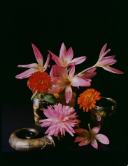 Horst, Dahlia, Zinnia & Fall Krokus, c. 1985