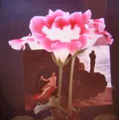 Horst, Gloxinia with Bocklin, Oyster Bay, New York, 1959