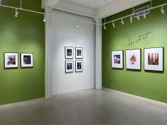 Horst P. Horst / George Hoyningen-Huene, Installation view