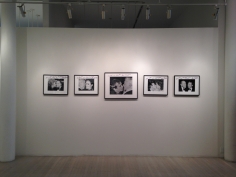 Ron Galella, Exhibition View