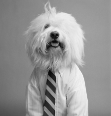 William Helburn, Heuby, Van Heusen, 1967