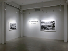 Hoodooland, Installation View