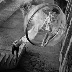 Melvin Sokolsky, Le Dragon