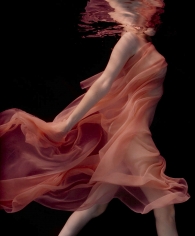 Howard Schatz, Underwater Study 132