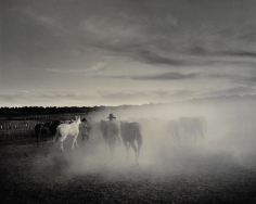 Kurt Markus, Oro Ranch, Prescott Arizona, 1983