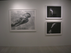 Michael Dweck, Exhibition View