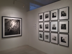 Melvin Sokolsky, Exhibition View