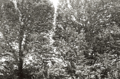 Priscilla Rattazzi, Hurricane Irene I, East Hampton 2011