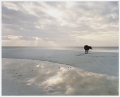 Anders Krisar, Chord N.8