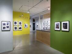 Horst P. Horst / George Hoyningen-Huene, Installation view