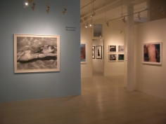Michael Dweck, Exhibition View