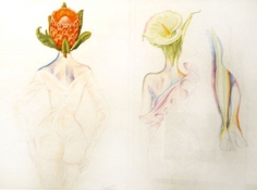 Antonio, Flower Heads, 1981