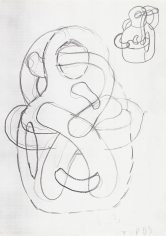 "Untitled (Transformer)", 1995