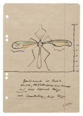 "Crane Fly as a sculpture. Very large, wooden slat legs and body, wings covered with silk. Also butterflies, giant wings", ca. 1968