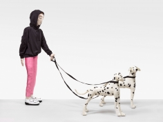 “Dalmatiner (Dalmatians)”, 2019