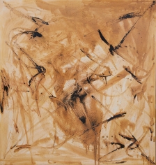 "Untitled", 1990 Silver nitrate, lapis infernalis on linen