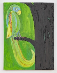 Antone Könst Parrot (study), 2019 Oil on canvas 24 x 18 inches