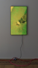 Luca Dellaverson "Mystic Styles (The Drowning Dog) 2", 2017 LCD Monitor, epoxy resin, digital file 40-5/8 x 23-1/8 x 1-1/2 inches