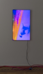 Luca Dellaverson "Mystic Styles (The Drowning Dog) 3", 2017 LCD Monitor, epoxy resin, digital file 40-5/8 x 23-1/8 x 1-1/2 inches