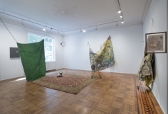 Noel Anderson: Mascuminity Installation View