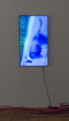 Luca Dellaverson "Mystic Styles (The Drowning Dog) 4", 2017 LCD Monitor, epoxy resin, digital file 40-5/8 x 23-1/8 x 1-1/2 inches