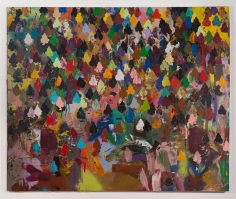 Brenna Youngblood Democratic Forest, 2014