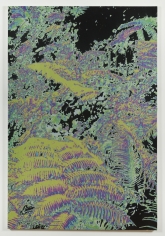 Luca Dellaverson "Now I'm High", 2017 Oil, epoxy, and inkjet on canvas 72 x 48 inches