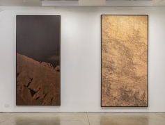Clifford Ross: Prints on Wood