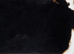Robert Motherwell