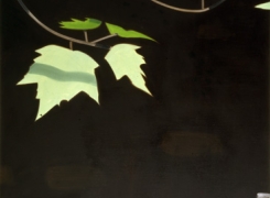 Alex Katz