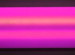 PULSE MIAMI