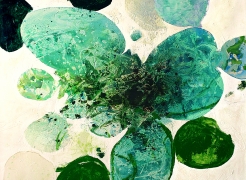 Meredith Pardue: VITALI
