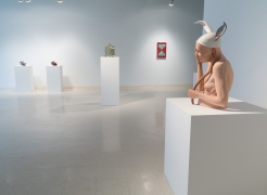 NW Perspectives in Clay