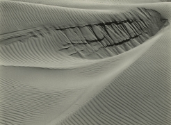 Edward Weston