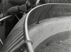 Garry Winogrand