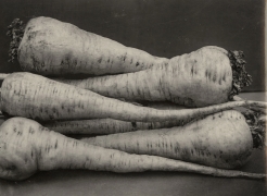 Charles Jones