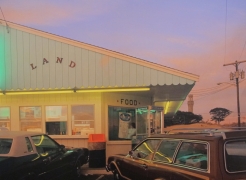 Joel Meyerowitz