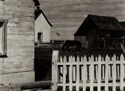 Paul Strand