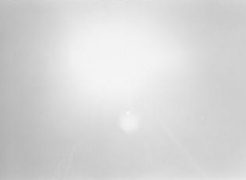 Zoe Leonard