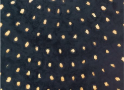Ross Bleckner