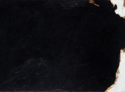 Robert Motherwell