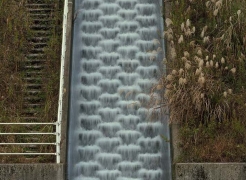 Toshio Shibata