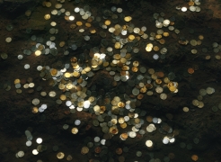 Chen Wei