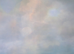 Amy Elkins