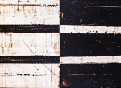 Thomas Sayre: Cynefin