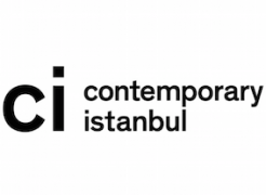 Contemporary Istanbul