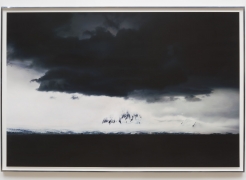Liza Ryan