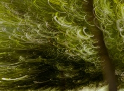 A Late Beginning, Solo Photography Exhibition