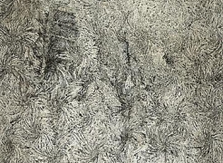 Richard Artschwager
